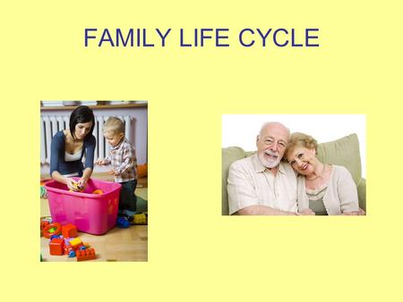 FAMILY LIFE CYCLE.