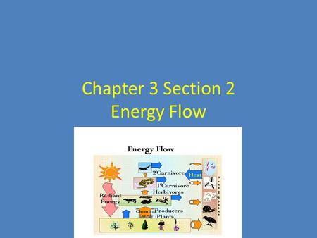 Chapter 3 Section 2 Energy Flow. Producers… Sunlight is the main energy source for life on Earth. – Less than 1% of the sun’s energy that reaches Earth.