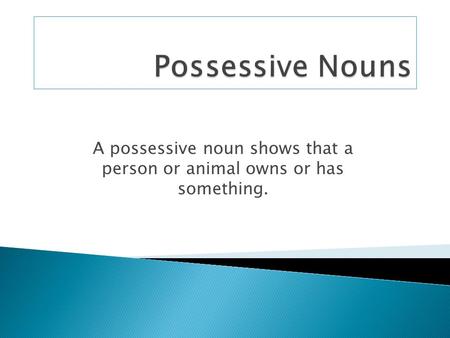 A possessive noun shows that a person or animal owns or has something.