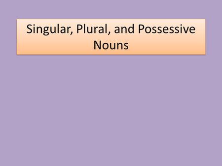 Singular, Plural, and Possessive Nouns