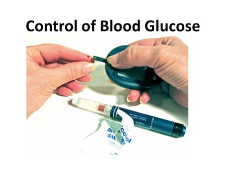 Control of Blood Glucose. Anatomy to Keep in Mind.