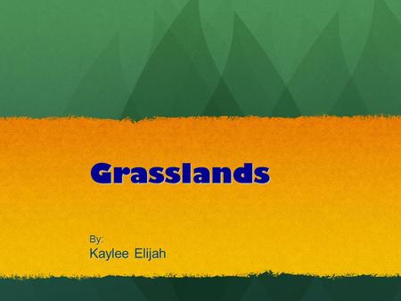Grasslands By: Kaylee Elijah.