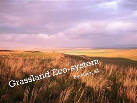 Grassland Eco-system By: Massi 6A. What is it? Grassland eco-system is an eco-system found in tropical areas near to the equator. A lot of plants and.
