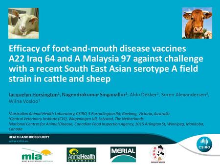 Efficacy of foot-and-mouth disease vaccines A22 Iraq 64 and A Malaysia 97 against challenge with a recent South East Asian serotype A field strain in.