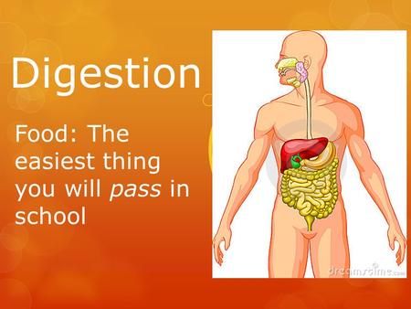 Digestion Food: The easiest thing you will pass in school.