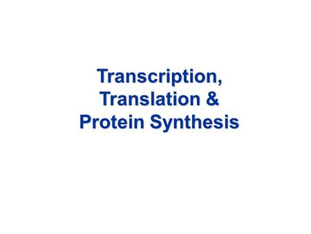 Transcription, Translation & Protein Synthesis. Protein Synthesis Protein synthesis - a cell makes protein based on the message contained within its DNA.