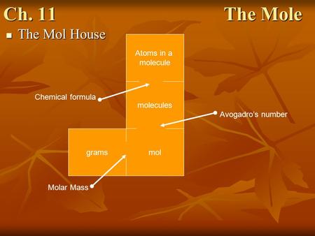 Ch. 11 The Mole The Mol House The Mol House Atoms in a molecule molecules molgrams Molar Mass Avogadro’s number Chemical formula.