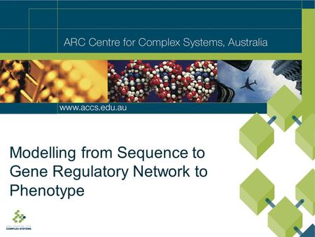 Modelling from Sequence to Gene Regulatory Network to Phenotype.