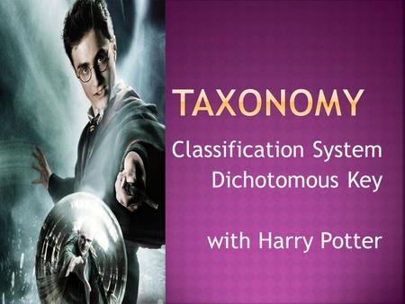 Classification System Dichotomous Key with Harry Potter