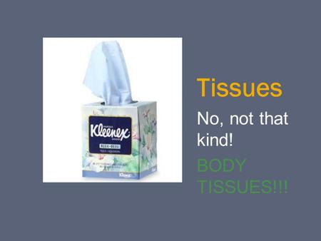 Tissues No, not that kind! BODY TISSUES!!!. 4 Main Types  Epithelial  Connective  Muscle  Nervous.