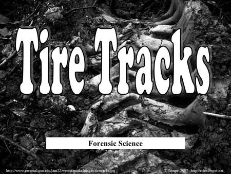 Forensic Science  Trimpe 2007