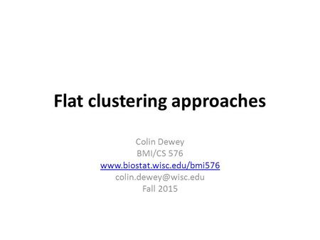 Flat clustering approaches