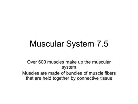 Muscular System 7.5 Over 600 muscles make up the muscular system Muscles are made of bundles of muscle fibers that are held together by connective tissue.