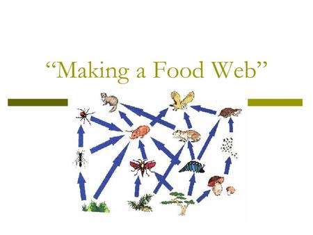 “Making a Food Web”.