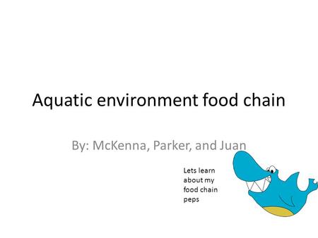 Aquatic environment food chain