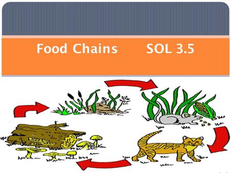 Food Chains SOL 3.5. A ___ _______shows a food relationship among plants and animals in a specific area or environment.