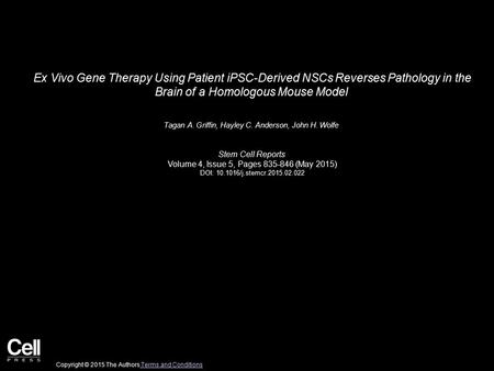 Ex Vivo Gene Therapy Using Patient iPSC-Derived NSCs Reverses Pathology in the Brain of a Homologous Mouse Model Tagan A. Griffin, Hayley C. Anderson,