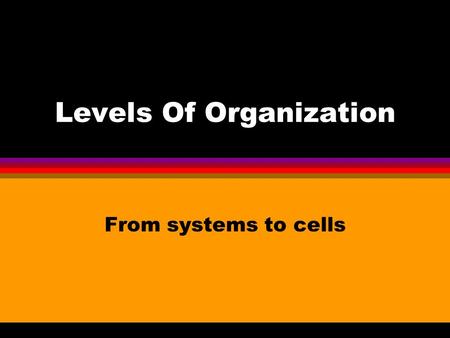 Levels Of Organization From systems to cells. Levels of organization l Atoms l Molecules l Cells l Tissues l Organs l Systems l Organisms l Populations.