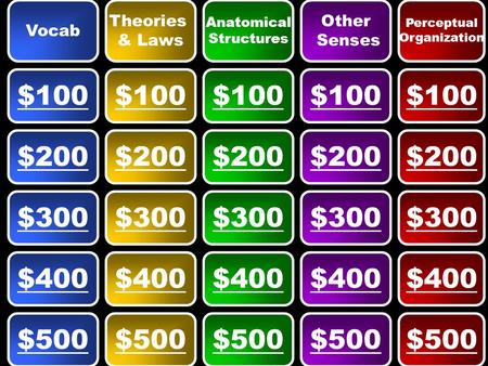 Vocab Theories & Laws Anatomical Structures Other Senses Perceptual Organization $100 $500 $400 $300 $200.