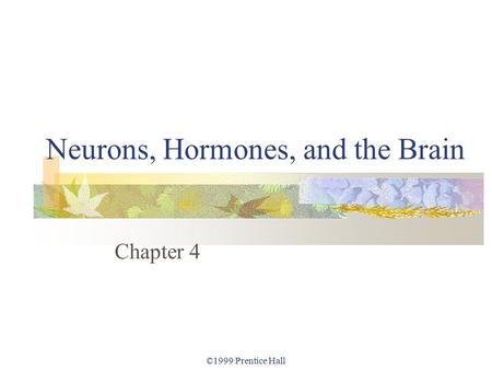 ©1999 Prentice Hall Neurons, Hormones, and the Brain Chapter 4.