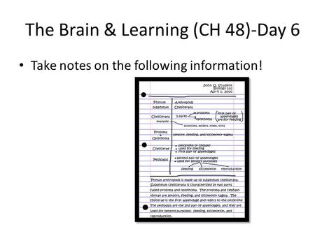 The Brain & Learning (CH 48)-Day 6