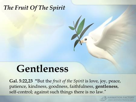 Gentleness Gal. 5:22,23 “ But the fruit of the Spirit is love, joy, peace, patience, kindness, goodness, faithfulness, gentleness, self-control; against.