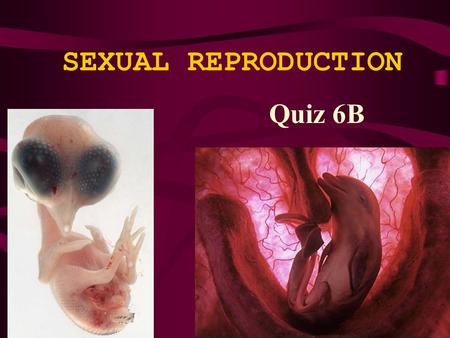 SEXUAL REPRODUCTION Quiz 6B. sexual reproduction the joining of haploid gametes to form a diploid zygote, which develops into a new individual each offspring.