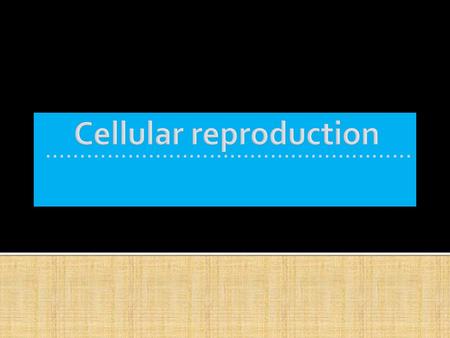 ……………………………………………....  Reproduction is a characteristic of life.  Reproduction of individuals depends on the reproduction at the cellular layer Carina.