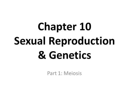 Chapter 10 Sexual Reproduction & Genetics Part 1: Meiosis.