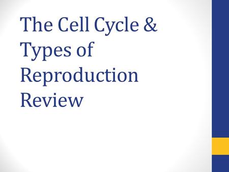 The Cell Cycle & Types of Reproduction Review. During which stage of mitosis are the chromosomes aligned across the middle of the cell?