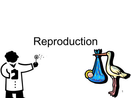 1 Reproduction. 2 Production of new individuals is a fundamental characteristic of a living species. Genetic information is passed on from parental generation.