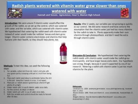 Radish plants watered with vitamin water grew slower than ones watered with water Hannah and Steven. Agriscience, Hour 5, Marion High School. Introduction: