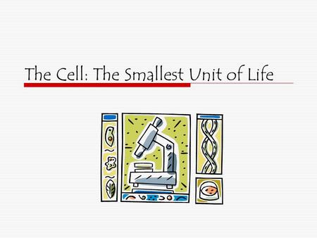 The Cell: The Smallest Unit of Life Prokaryotic and Eukaryotic Cells  Prokaryotic 1.No nuclear membrane 2.No membrane bound organelles 3.Found only.