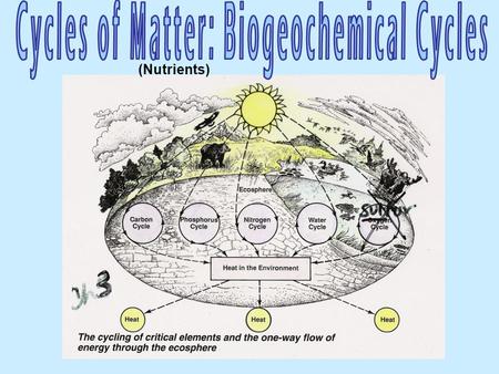 (Nutrients).  Ecosystems need nutrients and energy  Nutrients are  Organisms transform nutrients  Energy flows “Circle of Life” Organisms Environment.