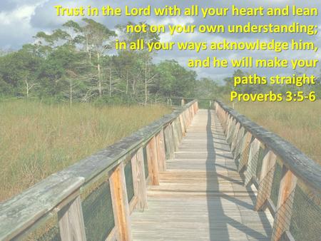 Trust in the Lord with all your heart and lean not on your own understanding; in all your ways acknowledge him, and he will make your paths straight paths.