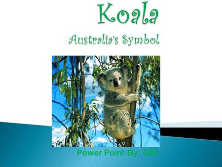Power Point By: GW. The name of my animal is Koala It’s scientific name is “Phascolarctos Cinerus” meaning “furry pouched gray bear” in Latin It is a.