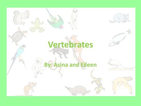 Vertebrates By: Asina and Eileen.