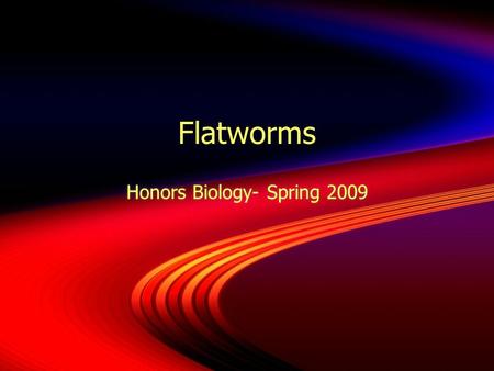 Flatworms Honors Biology- Spring 2009. Phylum Platyhelminthes  Soft, flattened bodies  Bilateral symmetry with cephalization.