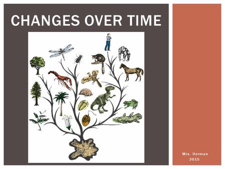 Mrs. Herman 2015 CHANGES OVER TIME. Evolution is the change over time in a population of related organisms. WHAT IS BIOLOGICAL EVOLUTION?