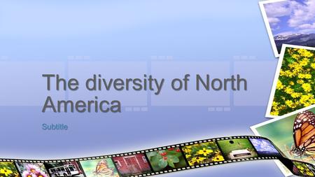 Subtitle The diversity of North America. Diversity The condition of having or being composed of differing elements : variety; especially : the inclusion.