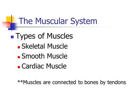 The Muscular System Types of Muscles Skeletal Muscle Smooth Muscle Cardiac Muscle **Muscles are connected to bones by tendons.