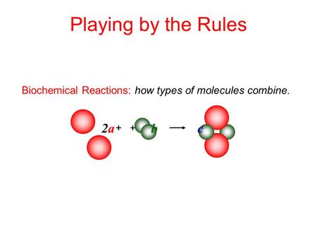 Biochemical Reactions: how types of molecules combine. Playing by the Rules + + 2a2a b c.