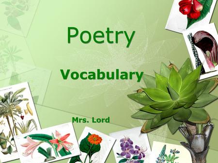 Poetry Vocabulary Mrs. Lord.