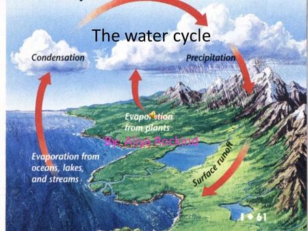The water cycle By: Aliya Rockind Evaporation Evaporation is the first step in the water cycle. Evaporation happens when the sun heats the water and.