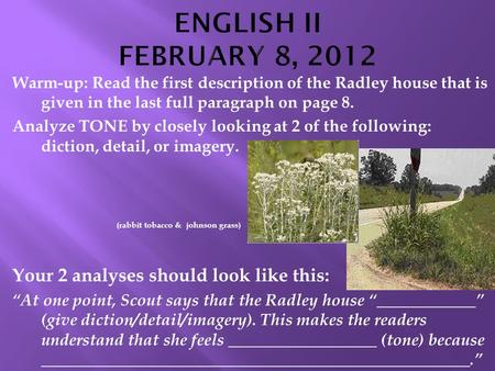 Warm-up: Read the first description of the Radley house that is given in the last full paragraph on page 8. Analyze TONE by closely looking at 2 of the.