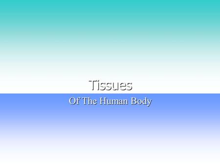 Tissues Of The Human Body. Epithelial Cells Simple squamous Simple squamous –1. single layer of flat cells –2. Has a centrally located nucleus –3. Lines.