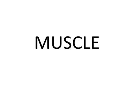 MUSCLE.