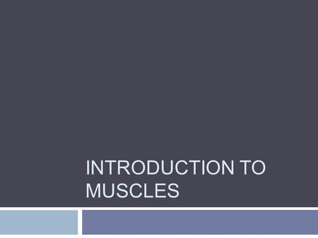 INTRODUCTION TO MUSCLES. Functions  Movement  Stabilization of Joints  Posture  Thermogenesis.