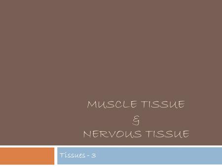 MUSCLE TISSUE & NERVOUS TISSUE Tissues - 3. Essential Question  How does form follow function in muscle and nervous tissue?