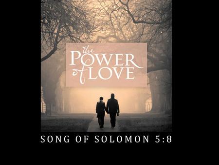 SONG OF SOLOMON 5:8.